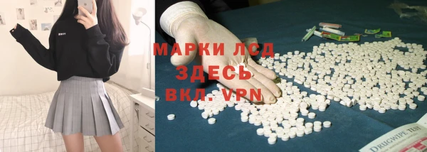 прущие грибы Абаза
