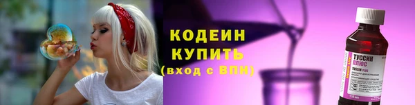 прущие грибы Абаза
