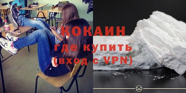 прущие грибы Абаза