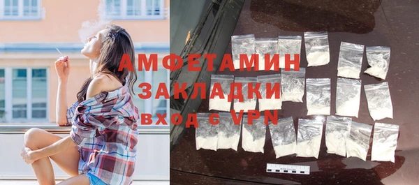 прущие грибы Абаза