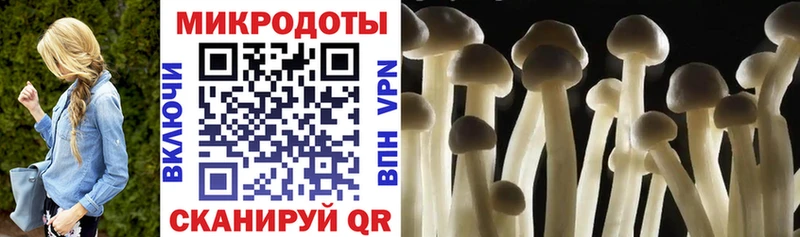 Псилоцибиновые грибы прущие грибы Вилючинск